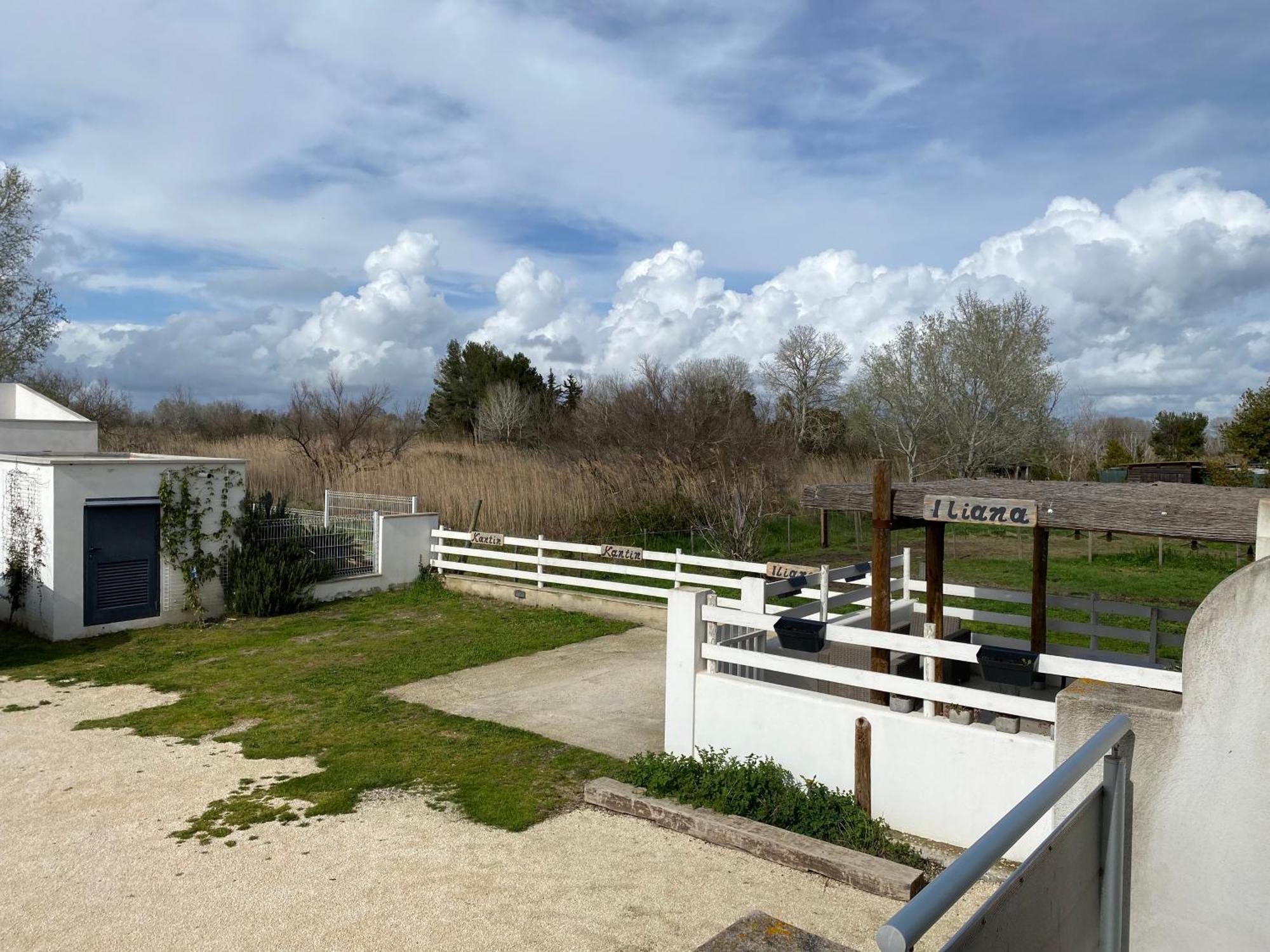 Les Maisons Du Paty Arles Bagian luar foto